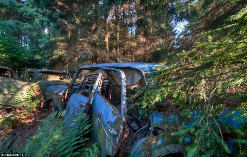 Illustration for article titled Chatillon, Belgium. The Graveyard Of The Cars Of The American Soldiers Deployed In Europe, Who Didn't Take Them Back To The U.S.A.